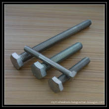 Stainless Steel Screw